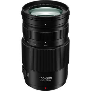 Objectif Lumix <span class=keywords><strong>G</strong></span> <span class=keywords><strong>Vario</strong></span> <span class=keywords><strong>100</strong></span>-300mm F/4-5.6 II POWER O.I.S. Objectif zoom - Product Image 2