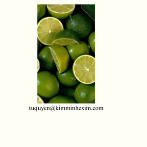 ผลไม้แช่แข็งจากผลไม้สดจากเวียดนามแพ็คสุญญากาศบรรจุจำนวนมาก - Product Image 1