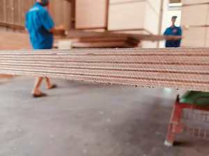 Contreplaqué Kego Vietnam 28 mm x 1160 x 2400 mm, eucalyptus lourd, poncé et poli, extérieur, E1, résistant à l'eau, bords rainurés - Product Image 6