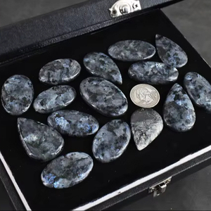 พลอยลาร์วิกไนต์แบบหลวม จำนวนมาก หลายรูปทรง หลายขนาด คละแบบ สำหรับทำเครื่องประดับ - Product Image 1