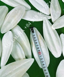 Os de Seiche Séché pour Alimentation des Oiseaux 100% Vietnam Vente en Gros - Mme Kelly - Product Image 4