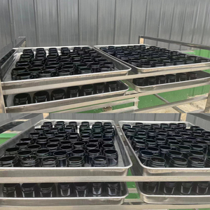 ถังบรรจุสารสกัดจากเรซินธรรมชาติเกรดอาหารออร์แกนิกถังสกัดจากสมุนไพรภูเขาหิมาลัยแท้ - Product Image 6