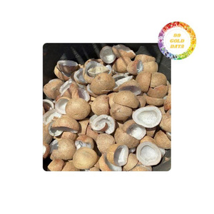 Copra de coco blanco medio cortado seco comestible al por mayor de calidad superventas Copra de coco al por mayor de Vietnam - Product Image 5