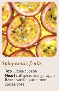 Bougie artisanale de luxe moderne 10cl, parfum fruits exotiques épicés, avec logo personnalisé, cire mélangée, fabriquée en France, décoration intérieure - Product Image 5