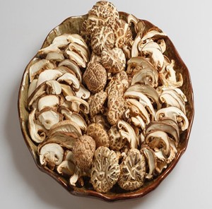 EXPORTADORES de Micelio de Champiñones Shiitake, Champiñones Porcini Silvestres, Champiñones Shiitake Cultivados Secos a Granel de Alta Calidad - Product Image 5
