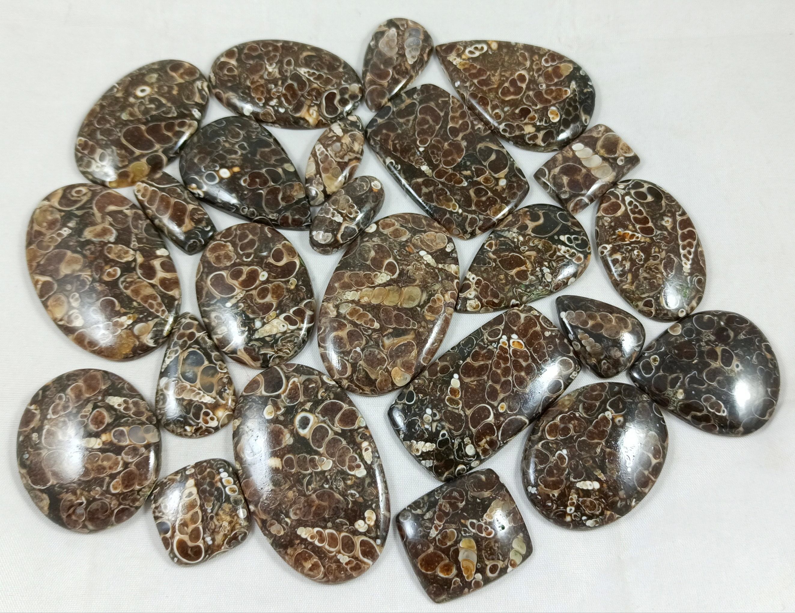 สีน้ำตาล