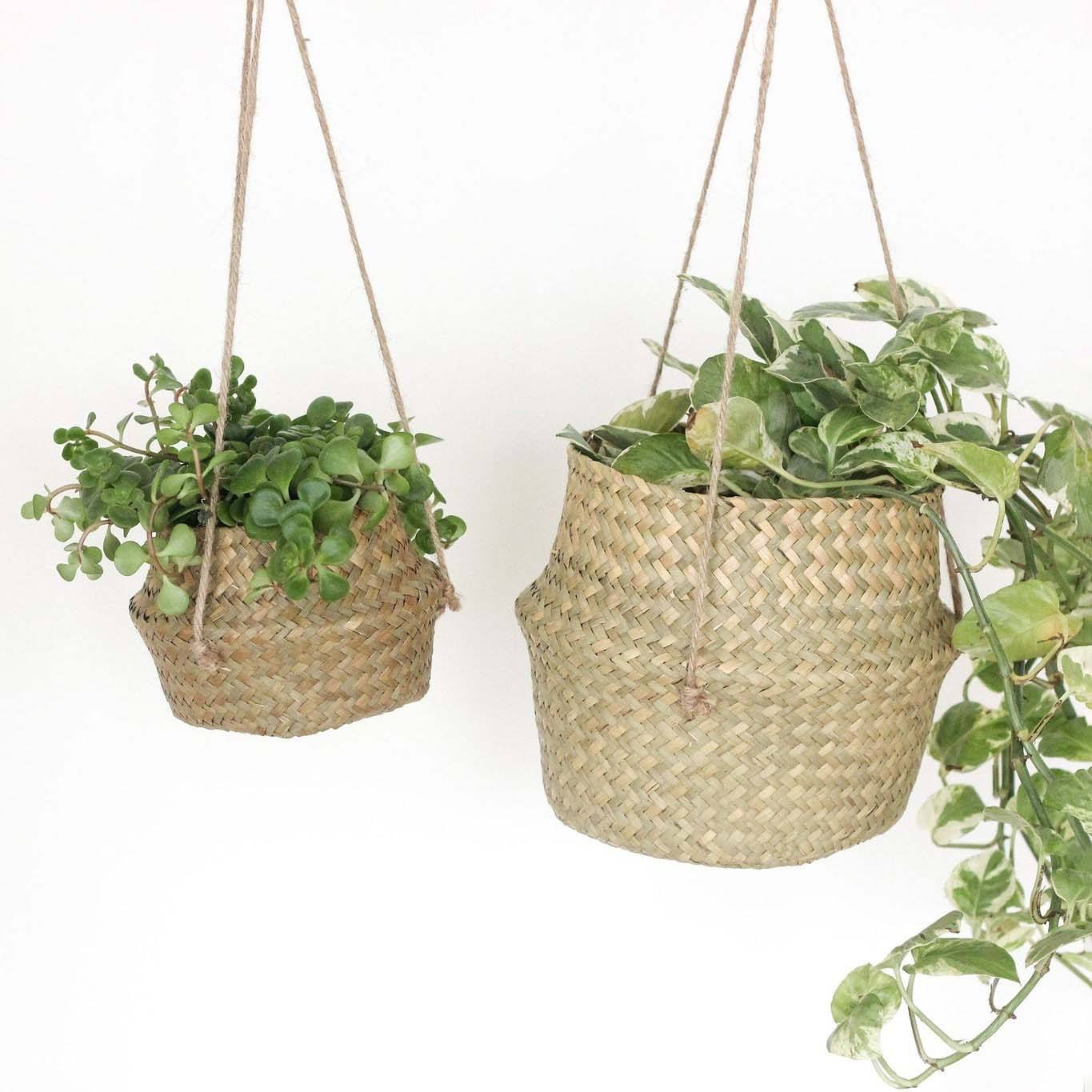 ธรรมชาติ