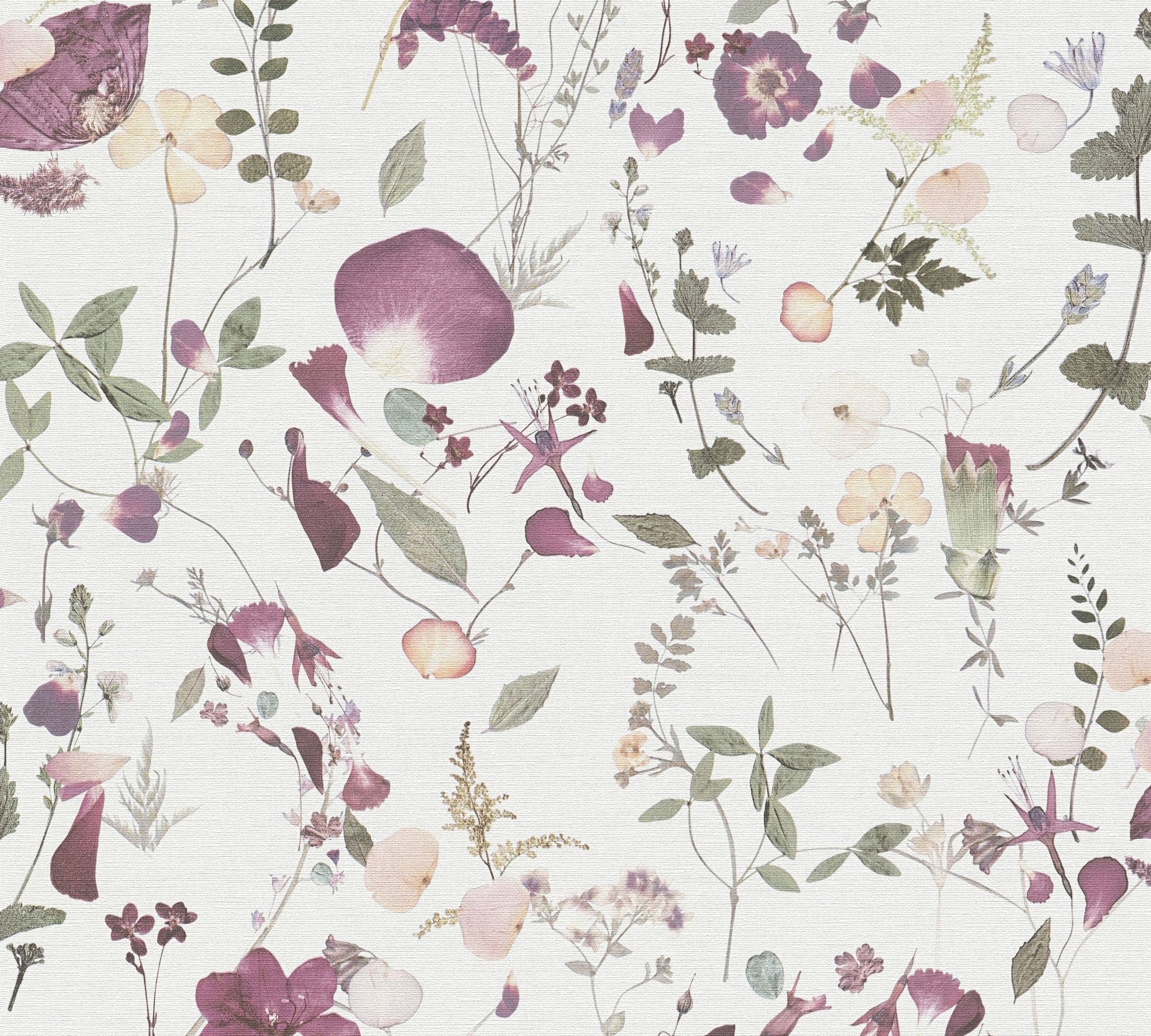 white violet pink green