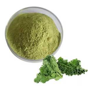 Cale de Primera Calidad Fresca y Congelada al por Mayor Directamente de Granjas del Reino Unido, Restaurantes, Cadenas de Supermercados, Compradores Internacionales al por Mayor - Product Image 4