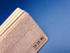 GSC Double-sided Credit <b>Card</b> Size 85.5x54mm NFC RFID White PVC Waterproof 13.56MHz <b>Access</b> <b>Control</b> F08 Chip Inkjet - Product Image 3