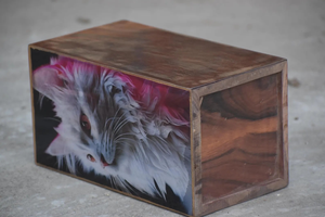 Urna de cremación para gatos con foto personalizada, recuerdo conmemorativo para mascotas, urnas de cremación para gatos y perros - Product Image 4