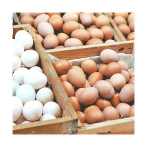 Oeufs de table frais de ferme Œufs de poule bruns et blancs biologiques riches en protéines Vente en gros - Product Image 5