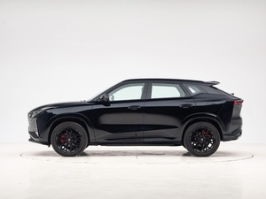 MEJOR OFERTA 2025 SUV Compacto Híbrido Usado de 5 Puertas y 5 Asientos con Carga Rápida de 0.5h - Product Image 4