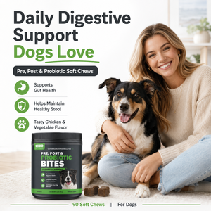 Suplemento Digestivo para Perros OEM, 1000 Unidades, Prebiótico <span class=keywords><strong>y</strong></span> Postbiótico, Masticables Suaves para Estómago Sensible, Marca Privada, Venta al Por Mayor - Product Image 2