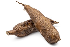 Manioc frais à haute teneur en amidon Manioc frais naturel en vrac Parfait pour la transformation industrielle et la distribution en gros - Product Image 3