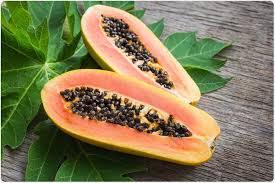 <b>FRESH</b> <b>PAPAYA</b> LEAVES POWDER / DETOX SUPPORT / CLEAN LABEL / SUSTAINABLE - Product Image 6