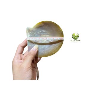 Natural Square Cut Religious Medals Mother Pearl & <b>Abalone</b> <b>Shell</b> Virgin Mary Guadalupe Grace Beads 20mm - Product Image 5
