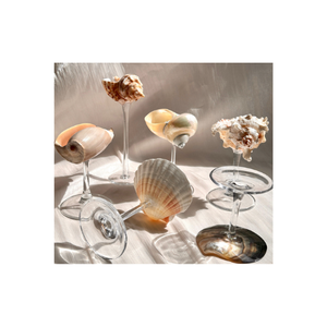 Copa Seashell de concha marina genuina para Decoración de mesa de estilo Boho y artesanías inspiradas en la playa de Vietnam - Product Image 3