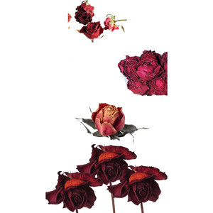 Fleur de rose rouge séchée comestible | Pure et parfumée pour le thé - Product Image 2