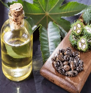Huile de ricin pressée pure et à froid pour la croissance des cheveux, soins de la peau | Fabricant en gros exportateur | OEM/ODM disponible - Product Image 2
