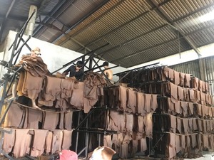 Natural <b>Rubber</b> Sheet RSS 3 Ribbed Smoked <b>Raw</b> <b>Material</b> Ngoc Chau Factory Premium Grade Wear Resistant Powder Footwear - Product Image 3