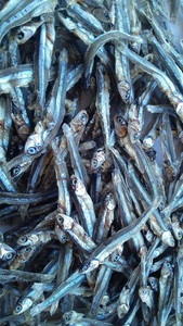 Cá cơm khô tự nhiên nguồn Niacin tuyệt vời hỗ trợ sản xuất năng lượng và chuyển hóa lành mạnh - Product Image 5