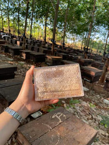 Miel en nid d'abeille, article d'exportation en vrac, forme stable et ton doré attrayant pour les programmes de vente en gros mondiaux - Product Image 5