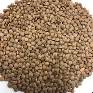 Lentilles rouges, lentilles vertes, lentilles brunes Lentilles rouges au prix de gros - Product Image 1