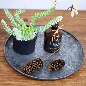 Plateau de cuisine rond en métal galvanisé fait à la main avec des bords ondulés, écologique, durable, polyvalent, décoratif - Product Image 1