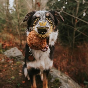 Corde à mâcher d'usine de cosse de noix de coco/corde à mâcher de noix de coco naturelle pour animaux de compagnie-boule à mâcher pour chien du Vietnam - Product Image 5