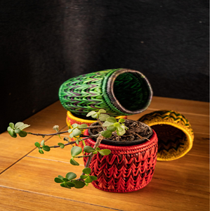 Toptan fiyatlarla mevcut küçük bitkiler için ideal bir zig-zag deseni ile üç renkli moonj çim yetiştiricilerinin <span class=keywords><strong>Set</strong></span>. - Product Image 1