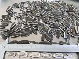 Noix de haute qualité, graines de tournesol biologiques, noyaux de graines de tournesol en gros, graines de tournesol prêtes à l'exportation, Belgique - Product Image 5