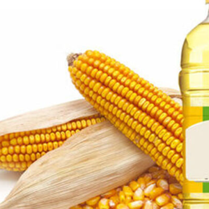 Proveedor a Granel de Aceite de Maíz Refinado para Cocinar del Reino Unido - Product Image 1