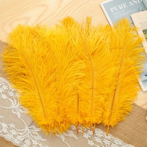 Wholesale Fashion Long Ostrich <strong>Feathers</strong> Colorful Lime Green with Light Blue Dyed <strong>Pattern</strong> High Quality Material - Product Image 6