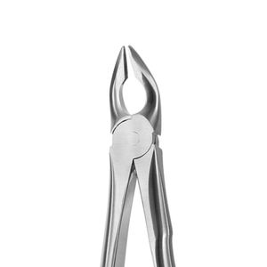 Pinzas Dentales Equinas Reutilizables de Primera Calidad, Acero Inoxidable, Instrumentos Veterinarios para Extracción de Dientes Incisivos y Molares de Caballos, Duraderas - Product Image 6