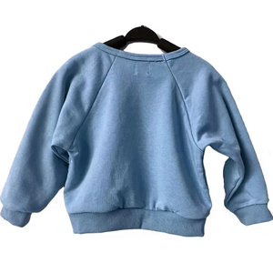 Conjunto de chándales para niños de manga completa lisos sólidos al por mayor, ropa de entrenamiento polar, Sudadera con capucha para niños, ropa deportiva de alta calidad para niños - Product Image 3