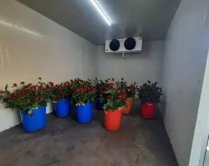 Fully Automatic Customized Walk in Fresh Cold Room for Flower Cold Storage Room for Flowers Cold Room From India