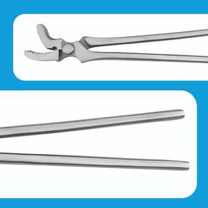 Novedad 2025 ARISTON INTERNATIONAL Alicates para Pezuñas de Caballo de Acero Inoxidable Duradero de Alta Calidad, Instrumentos Veterinarios CE - Product Image 4