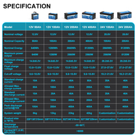 Baterai Pengganti Asam Timbal OEM ODM 12V Lifepo4 50ah 100ah 200ah 300ah Isi Ulang Siklus Dalam Lithium Ion Penyimpanan 12.8V 314Ah
