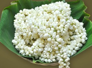 ดอกจัสมินมัลลิธรรมชาติกลิ่นหอมสกัดจากต้นชาทั้งดอก - Product Image 3