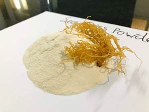 Bulk Export High Quality Irish <b>Moss</b> Powder 100% Natural with Competitive Price - Product Image 6