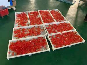 Excelente rendimiento, marca TG, caramelo duro, caramelo gomoso, toffee, máquina de depósito de dulces, semiautomática - Product Image 3