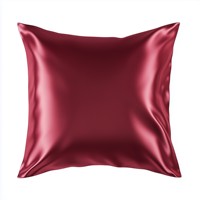 Conception personnalisée OEM 16-22 Momme 6A Grade taie d'oreiller en satin de soie turque élégante OEKO-TEX certifiée Claret Red Luxury Dot Animal