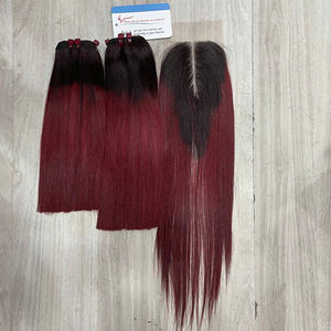 Extensions de cheveux humains non-Remy teints en gros, lisses, double trame, fermeture en dentelle HD, extensions vietnamiennes - Product Image 1