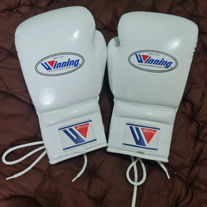 Gants de boxe de haute qualité, tendance et parfaits pour la boxe, le MMA, le kickboxing et le sparring, avec lacets, design OEM, gants de boxe de qualité supérieure. - Product Image 3