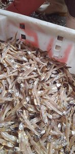 Anchois séchés de qualité supérieure Idéal pour la cuisson des sauces Snacks Prix de gros Approvisionnement en vrac pour les marchés internationaux - Product Image 2