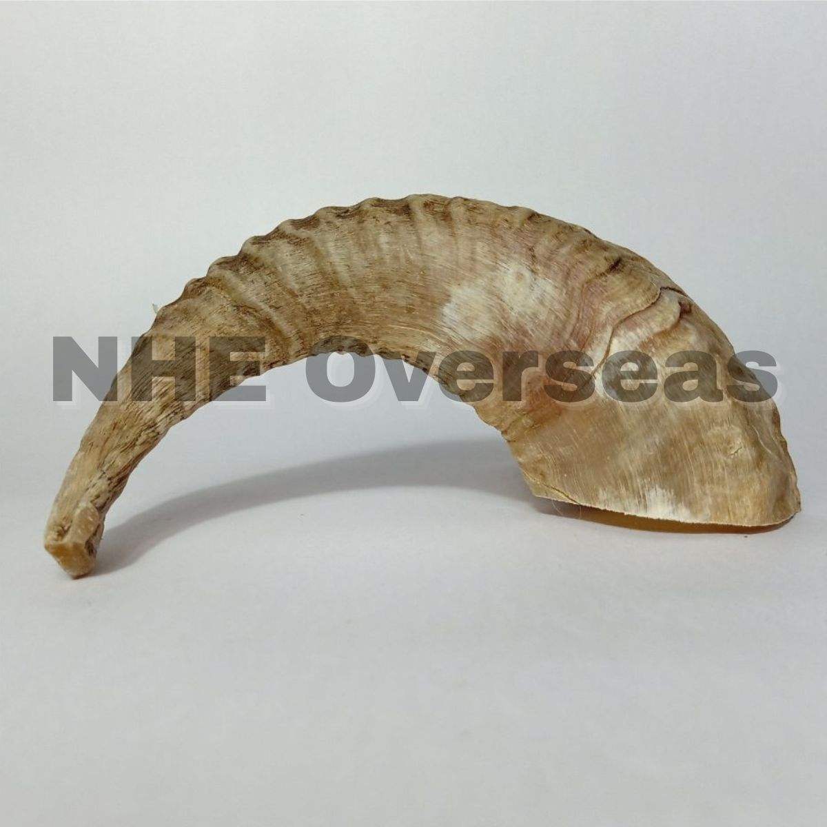 ธรรมชาติ