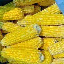 MAÏS SUCRÉ CONGELÉ/ÉTIQUETTE PROPRE/À BASE DE PLANTE/PRÊT À CUIRE - Product Image 4