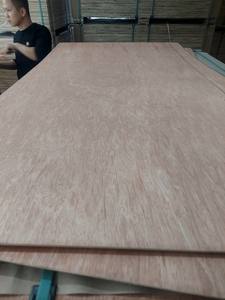 Contreplaqué commercial Bintangor 9mm/12mm/15mm/18mm/21mm/etc Formaldéhyde E2 de deuxième classe Garantie 5 ans Design contemporain - Product Image 5