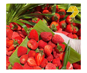 Fresa Liofilizada Orgánica OEM ODM, Ingrediente a Granel para Refrigerios, Repostería, Venta al por Menor, Logotipo Personalizado, Fresa Liofilizada de Vietnam - Product Image 1